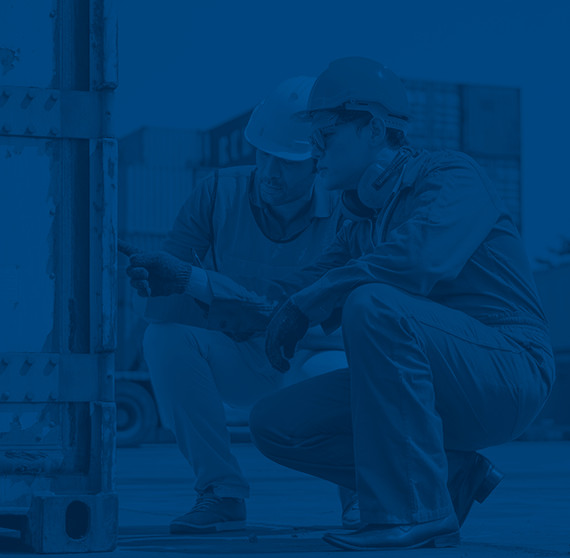 Equipe treinada e capacitada em todo o processo logístico